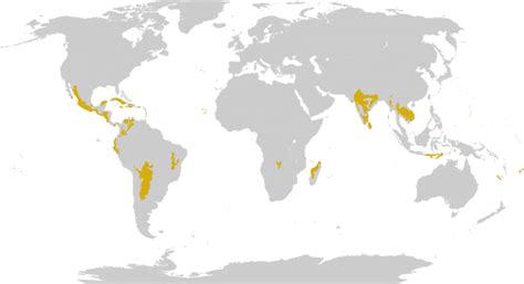 Tropical and subtropical dry broadleaf forests - Wikiwand