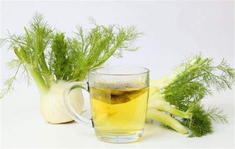 Three Fennel Tea Recipes for Weight Loss - Step To Health