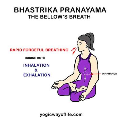 Bhastrika Pranayama - The Bellow's Breath - Yogic Way of Life