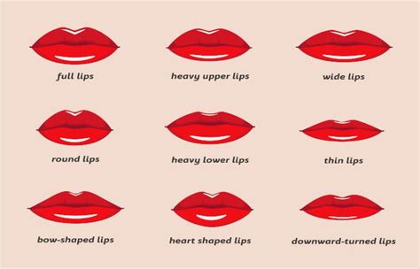 What are the different lip shapes and how do you enhance them – Artofit