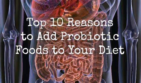 Top 10 Reasons to Add Probiotic Foods to Your Diet