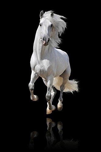 White Horse on Black Background 3D Wallpaper Available in... https://www.amazon.in/dp/B0753QPRZ1 ...