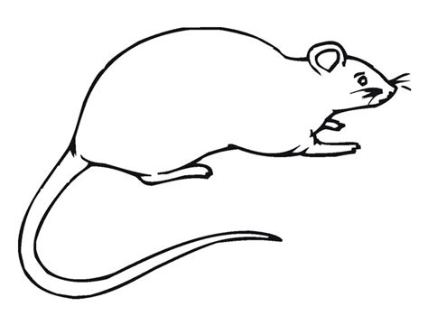 Free Printable Rat Coloring Pages For Kids