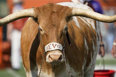 5 great college football mascots