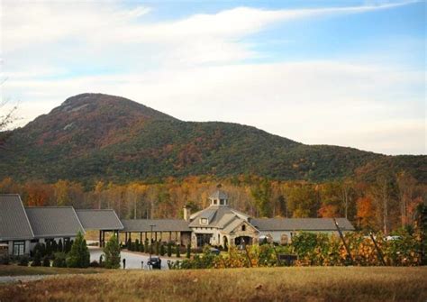 Explore Over 20-Acres Of Vineyards And Georgia’s Only Wine Cave At Yonah Mountain Vineyards ...