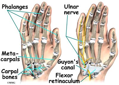 Patient Education | Concord Orthopaedics