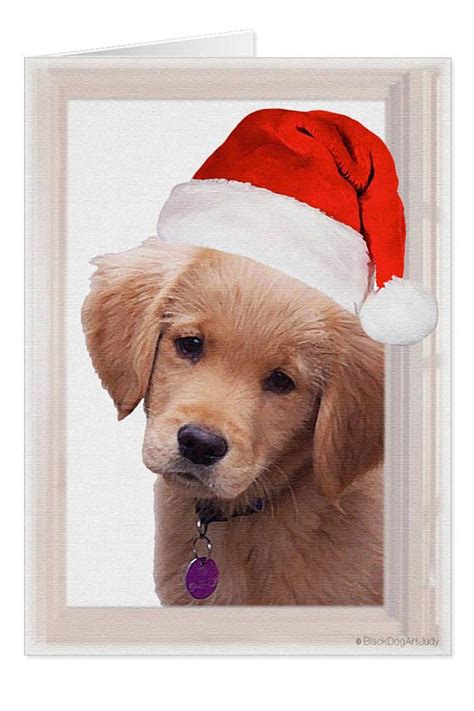 Golden Retriever Christmas Card Golden Retriever Art 3A | Golden retriever christmas card ...