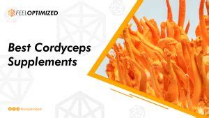 The 5 Best Cordyceps Mushroom Supplements: Reviews & Buying Guide