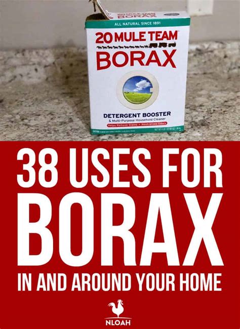 38 Uses for Borax in and Around Your Home