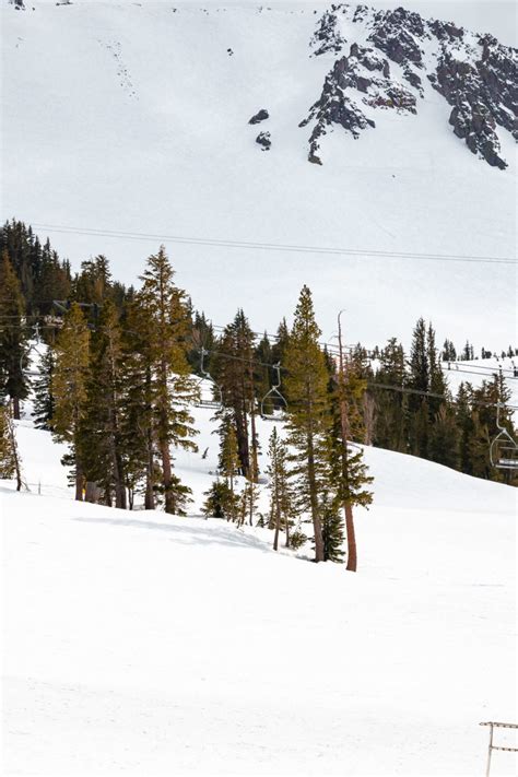 The 10 Best Places to Find Snow in California - Roads and Destinations