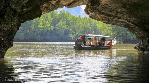 Langkawi: Mangrove Kilim UNESCO Geopark & Cave Tour | GetYourGuide