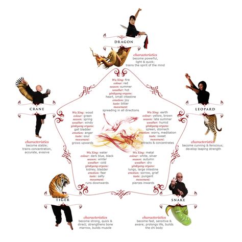 imagineplace: Wing Chun Kung Fu: Another Chinese System Of Organised Body Movements