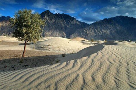 Pictures Of Pakistani Deserts That Will leave You Under A Spell..