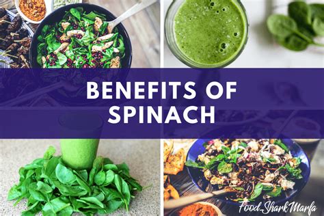 The 6 Superb Health Benefits of Spinach - Food Shark Marfa