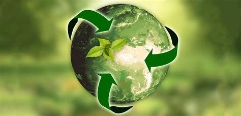 Ecología y Medio Ambiente: Opciones Profesionales - Grupo IOE