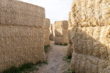 How to Make a Hay-Bale Maze | ehow