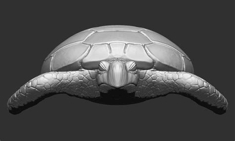 Sea Turtle V1 Free 3D Model - .obj .stl - Free3D