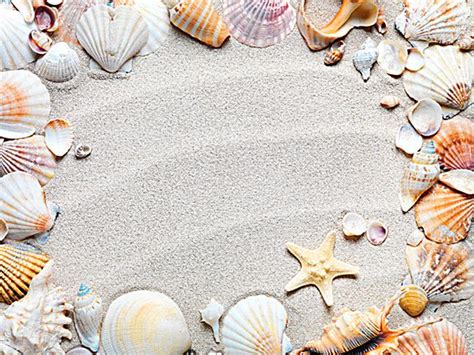 Free Sandy, Beach, Shell Background Images, Beach Shells Background ...