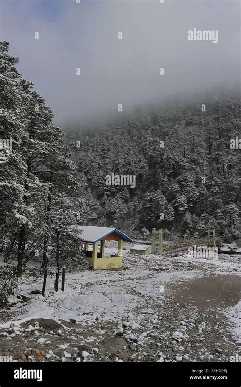 beautiful snow covered yumthang valley in winter season, scenic ...