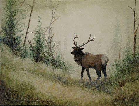 Elk Desktop Wallpapers - Top Free Elk Desktop Backgrounds - WallpaperAccess