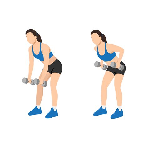 Woman doing Dumbbell bent over row exercise flat vector illustration isolated on white ...