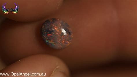 Andamooka Black Opal 0.6CT - Opal Angel