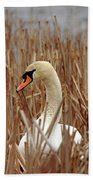 Nesting Mute Swan Photograph by Debbie Oppermann - Fine Art America