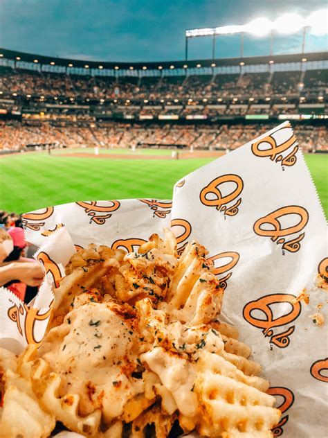 Baltimore Orioles Baseball Stadium: Oriole Park at Camden Yards - Swift ...