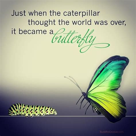 Butterfly Quotes About Change - ShortQuotes.cc