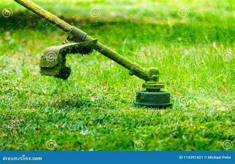 Grass Cutting in the Garden Stock Image - Image of backyard, piece: 114391421