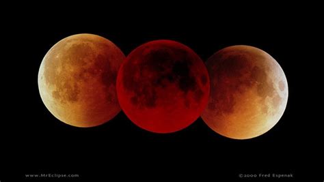 A Brief History of Blood Moons, Plus How to Watch the Lunar Eclipse | Observer