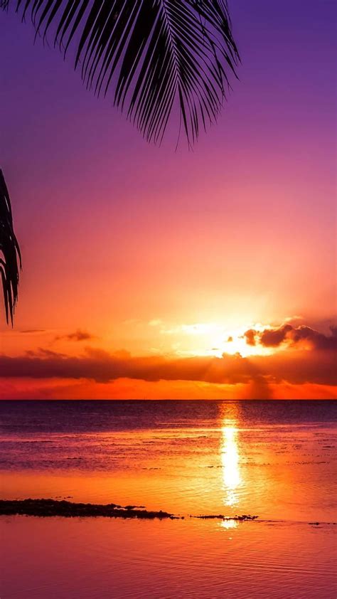 1000+ Background pictures sunset For Free Download