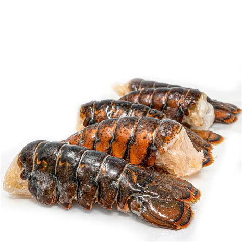 30 Maine Lobster Tails 5-6 oz $7.88 per tail – TG Protein