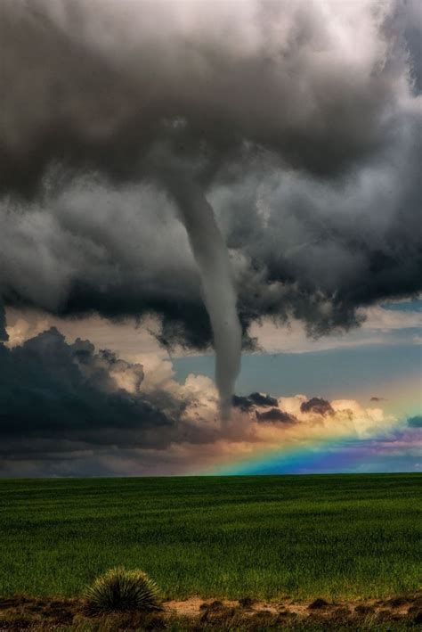 Best 100+ Tornado Facts For Kids images on Pinterest | Earth science, Geography and Science fair