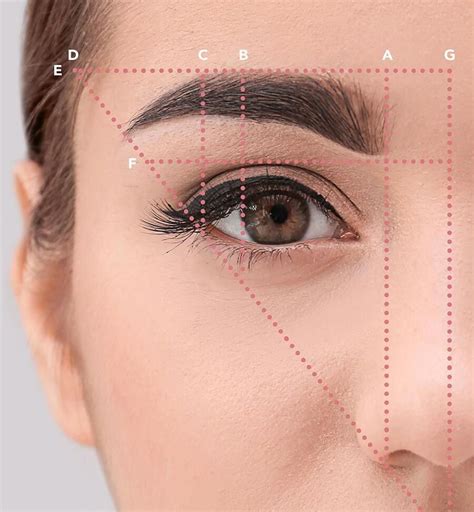 Eyebrow Shapes For Women | Eyebrow Guide | What Do Eyebrows Do 20190510 (с изображениями ...