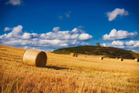 Straw Bales Harvest - Free photo on Pixabay - Pixabay