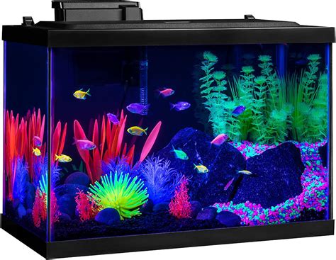 20 Gallon Long Aquarium Review - Aquarium Dimensions