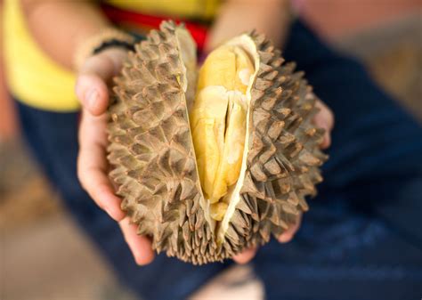 What Does Durian Taste Like and How to Eat It