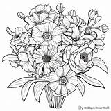 Zinnia Coloring Pages  Free & Printable sketch template