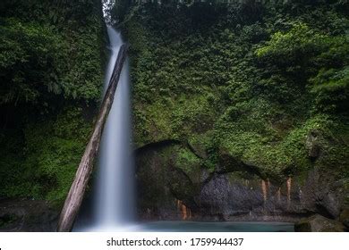 230 Medan Waterfall Images, Stock Photos & Vectors | Shutterstock