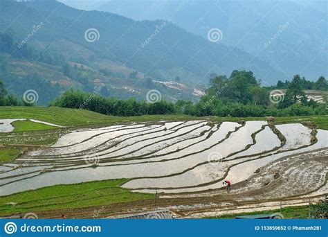 Sapa, Lao Cai, Vietnam stock photo. Image of rice, country - 153859652