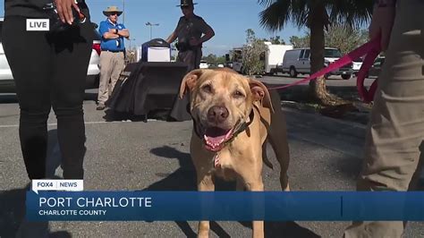 Charlotte County Sheriff's Office holds its first expo for the community