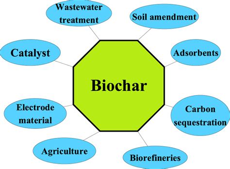 A schematic illustration of various applications of biochar. | Download Scientific Diagram