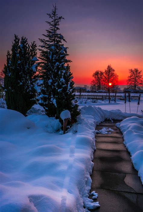 winter sunset - null | Winter scenery, Winter sunset, Winter landscape