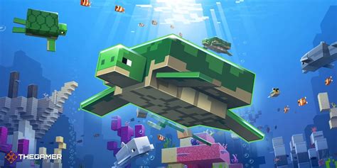 Minecraft: Everything You Need To Know About Turtles