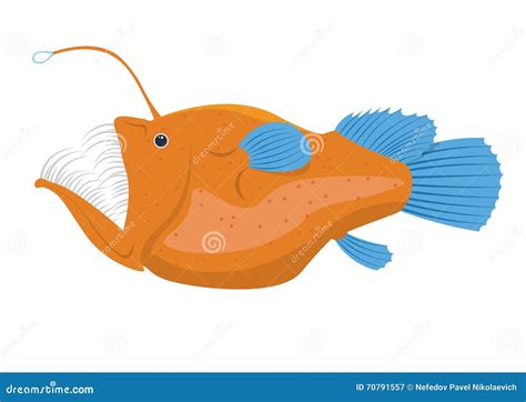 Angler Fish Illustration Isolated on a White Background Stock Illustration - Illustration of ...