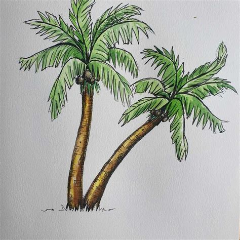 How to Draw a Palm Tree | 12 Step Palm Tree Drawing – Artsydee – Drawing, Painting, Craft ...