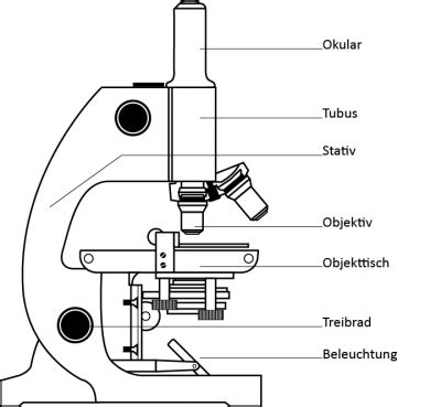 mikroskop-bestandteile [BolLehrer]