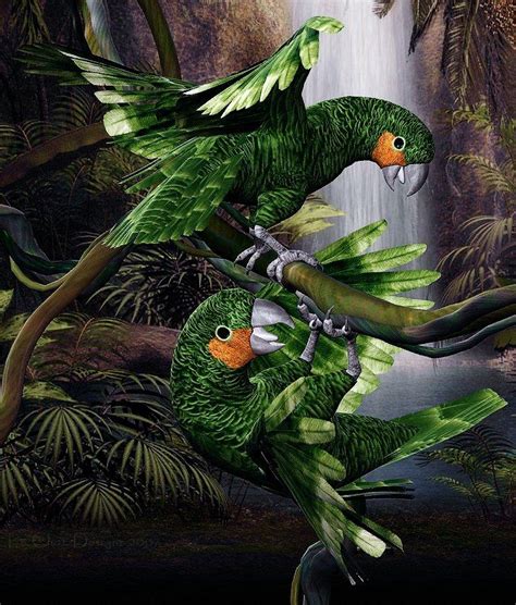 Green Parrots by LeChatDesigns