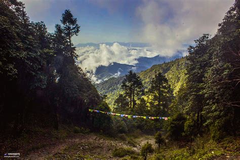 Langtang National Park: Nepal's Hidden Gem